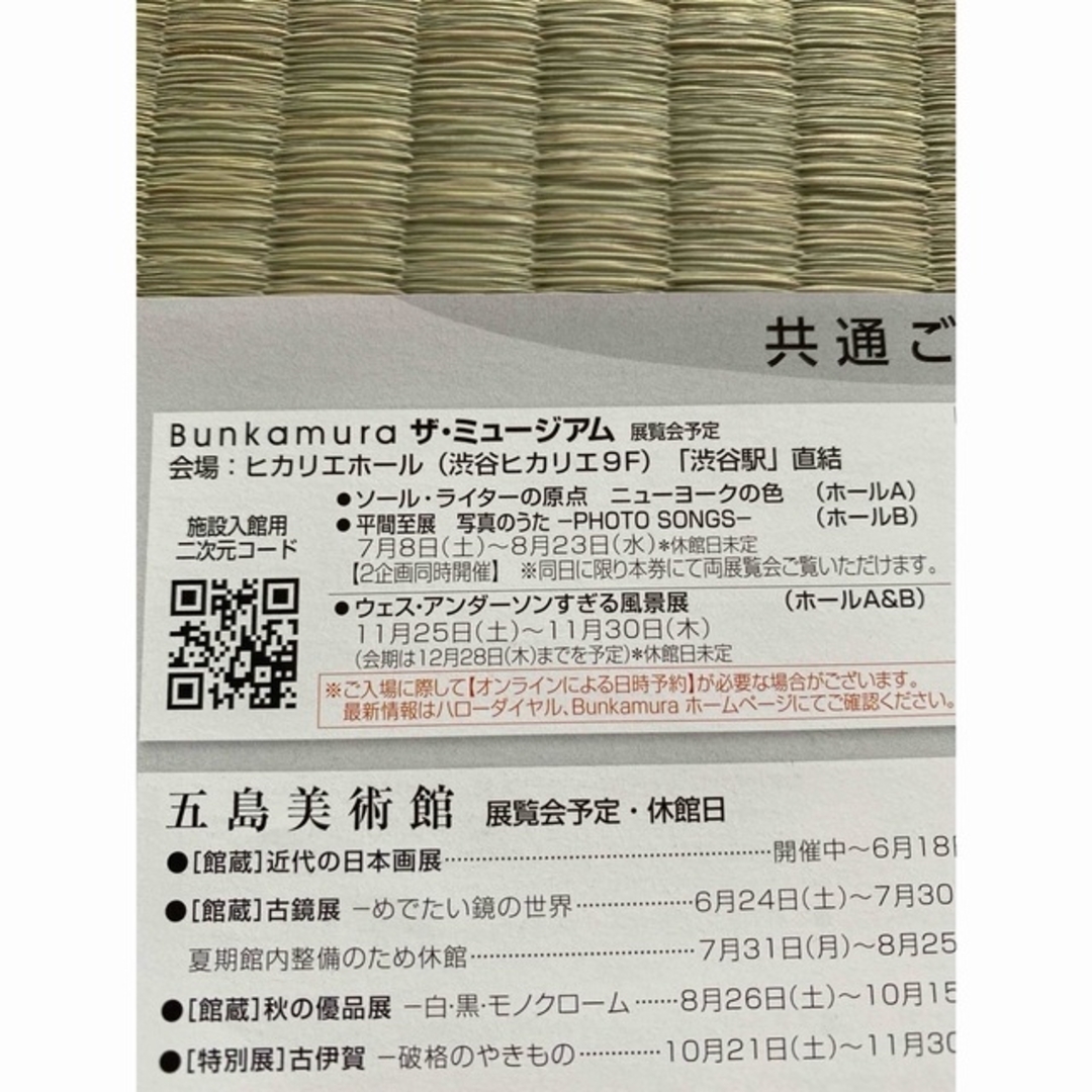 ソール・ライターの原点　ニューヨークの色　東急　株主優待共通ご招待券 チケットの施設利用券(美術館/博物館)の商品写真