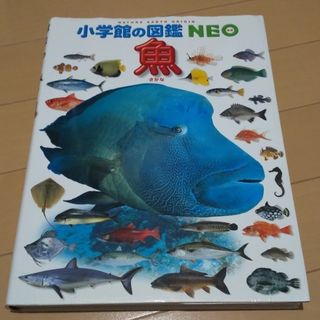 ショウガクカン(小学館)の小学館の図鑑NEO 魚(絵本/児童書)