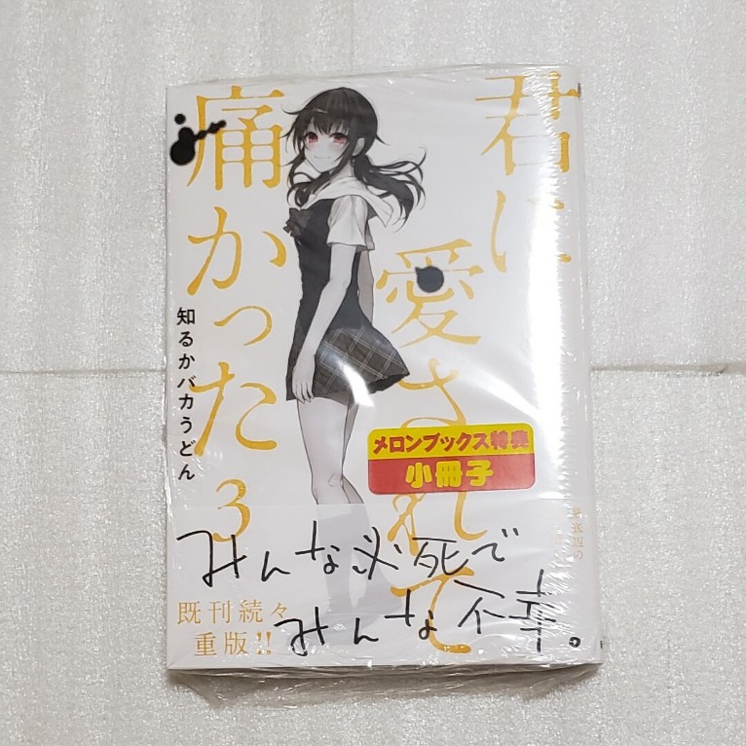 新品！　君に愛されて痛かった　知るかバカうどん　小冊子 エンタメ/ホビーの漫画(その他)の商品写真