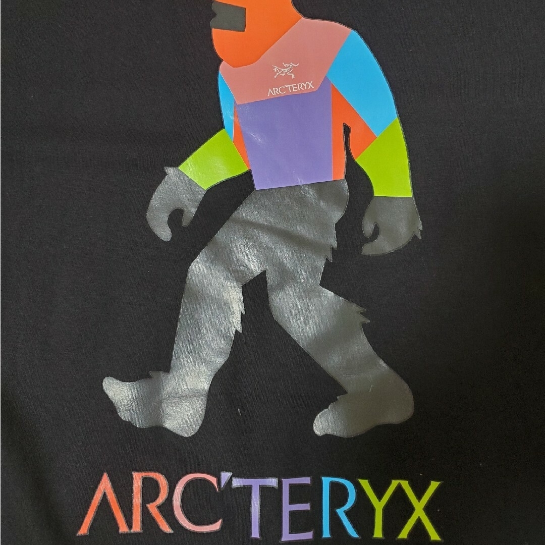 ARC'TERYX(アークテリクス)の〈週末限定〉アークテリクス　ビッグフット　Tシャツ メンズのトップス(Tシャツ/カットソー(半袖/袖なし))の商品写真