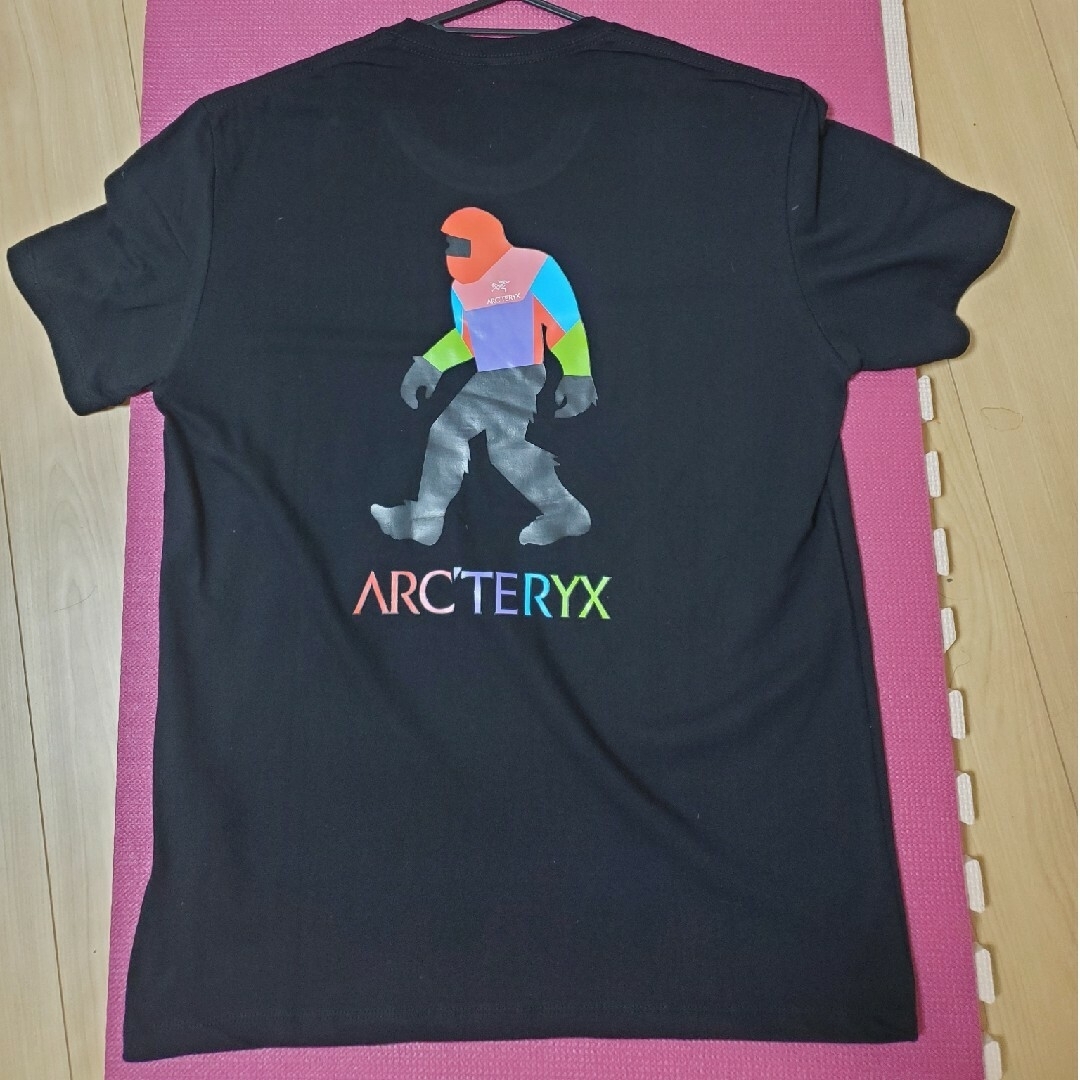 ARC'TERYX(アークテリクス)の〈週末限定〉アークテリクス　ビッグフット　Tシャツ メンズのトップス(Tシャツ/カットソー(半袖/袖なし))の商品写真