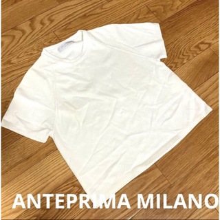 アンテプリマ(ANTEPRIMA)のANTEPRIMA アンテプリマ 半袖 ホワイト 白 トップス シンプル 無地(Tシャツ(半袖/袖なし))