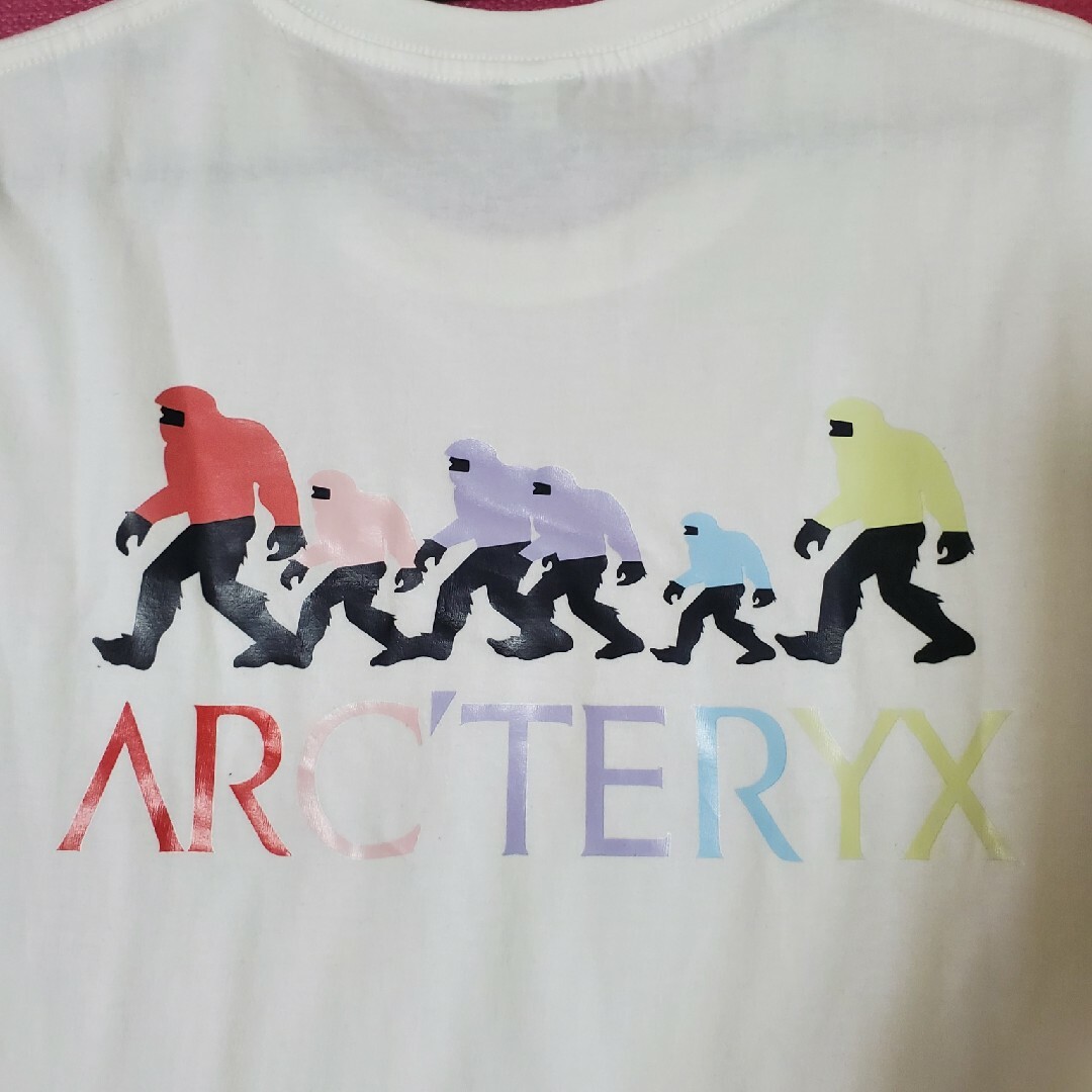 〈週末限定〉アークテリクス　ビッグフット　Tシャツ