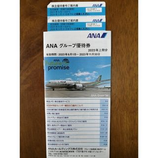 エーエヌエー(ゼンニッポンクウユ)(ANA(全日本空輸))のANA 株主優待券　&　グループ優待券(その他)