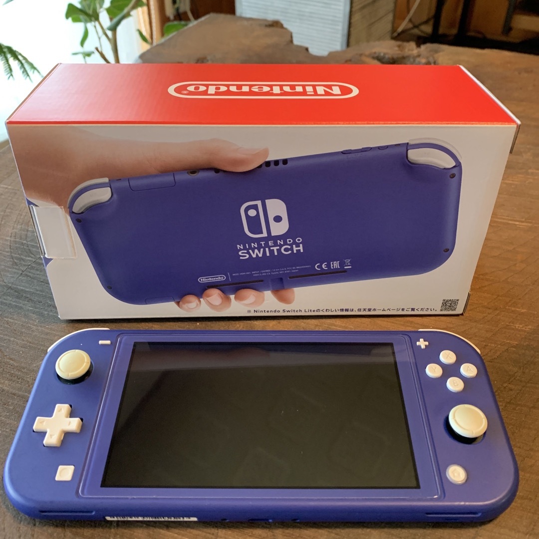 NINTENDO SWITCH LITE  ジャンク