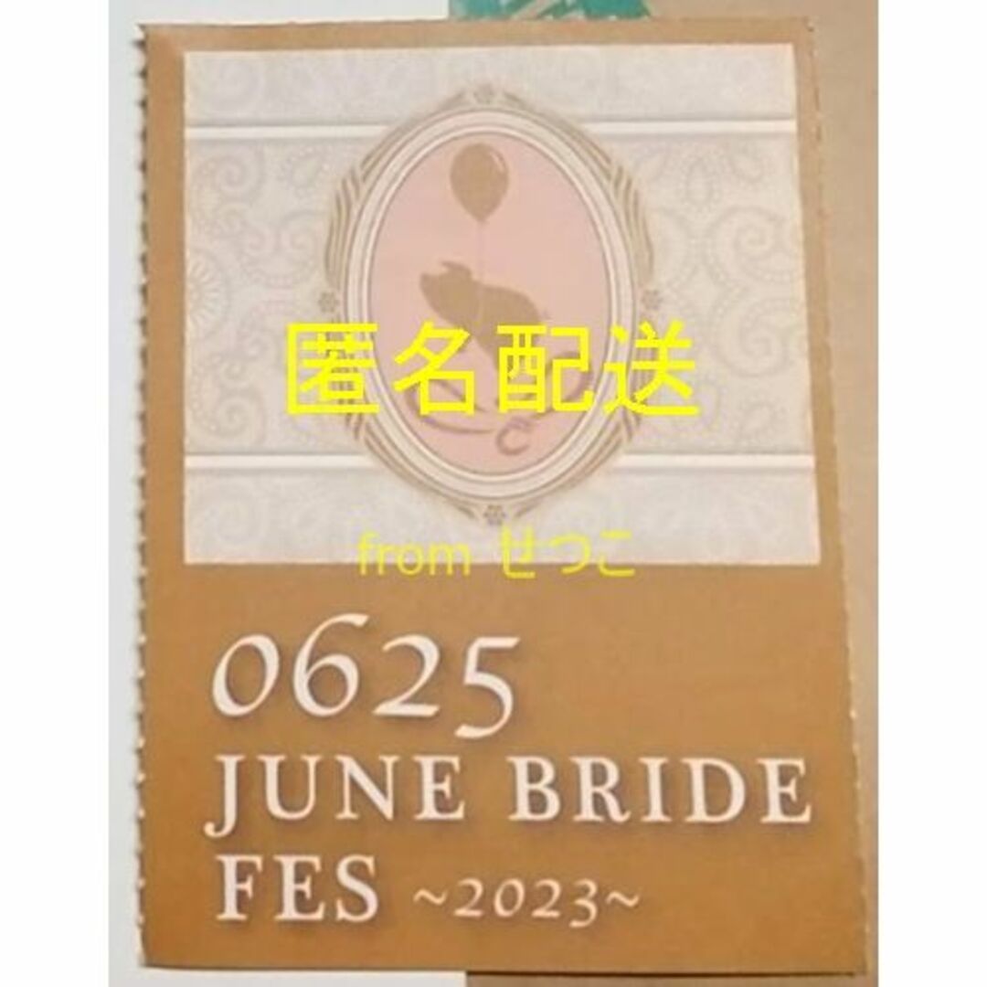 6/25 JUNE BRIDE FES 東京ビッグサイト サークルチケット