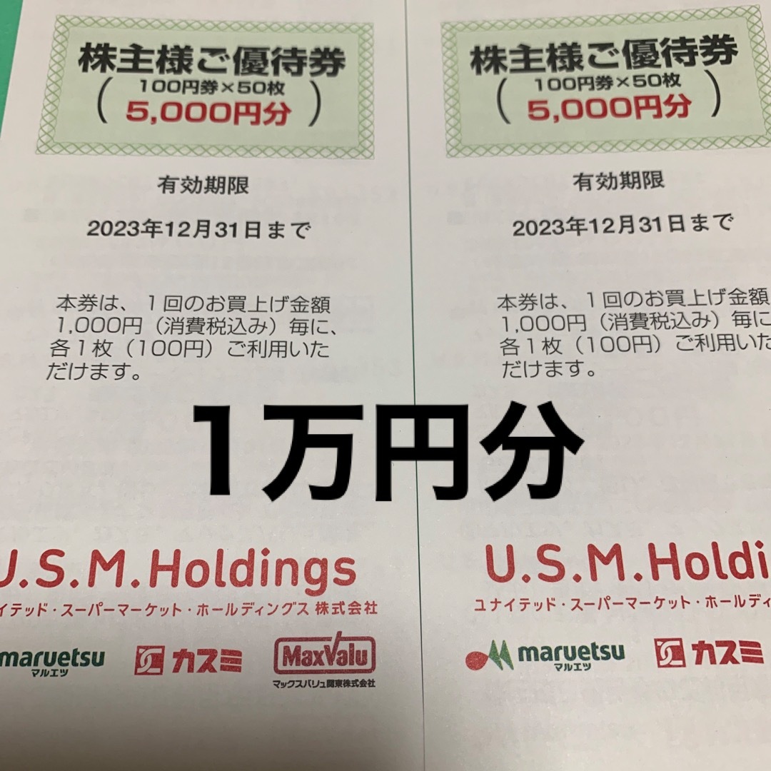 USMホールディングス株主優待券　2冊