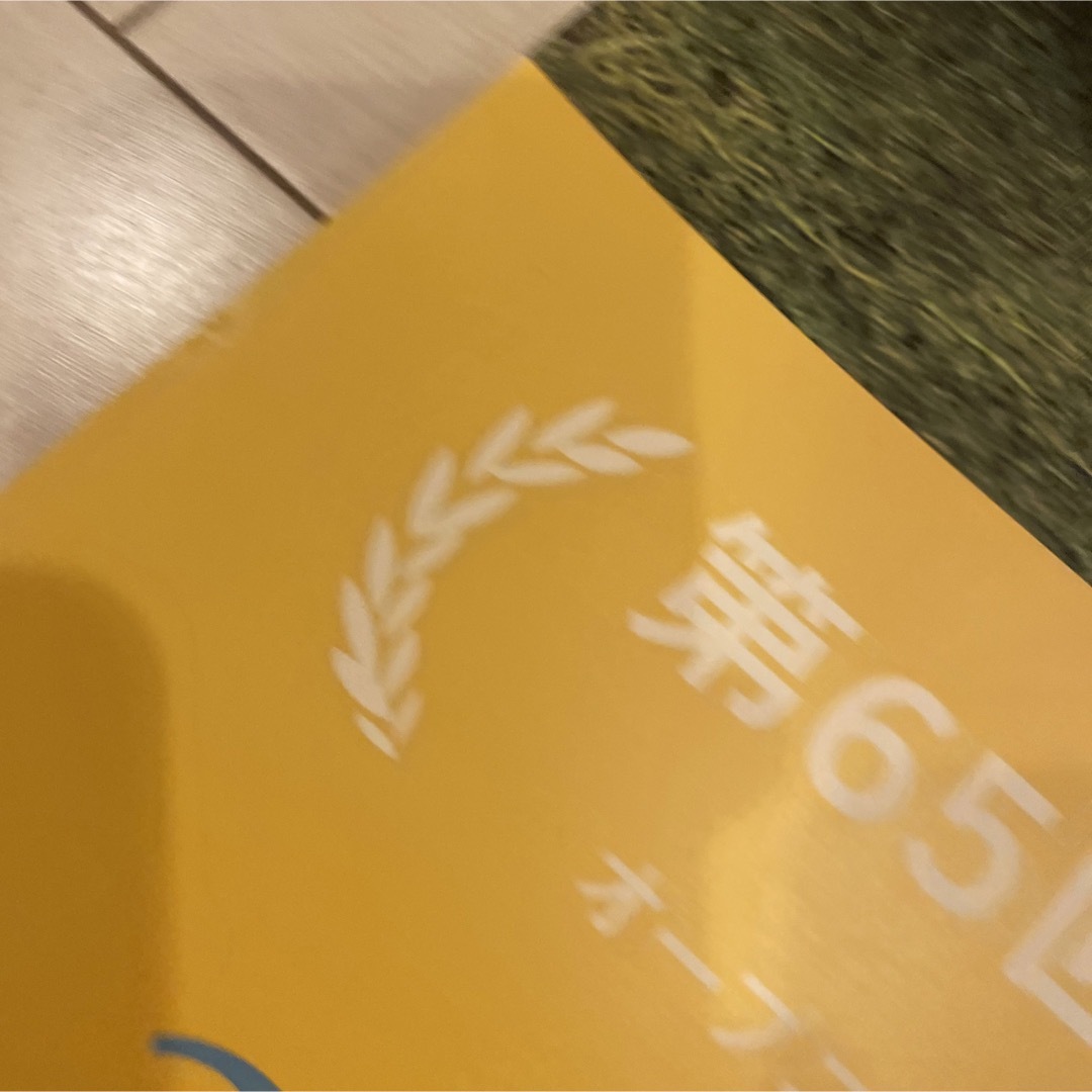ムーンライズキングダム B1ポスター ウェスアンダーソン 映画ポスター