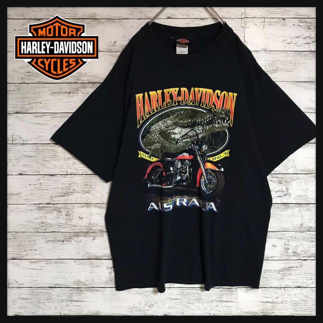 Harley Davidson(ハーレーダビッドソン)の【人気ブラック】ハーレーダビッドソン　裏表ビッグプリントTシャツ　F561 メンズのトップス(Tシャツ/カットソー(半袖/袖なし))の商品写真