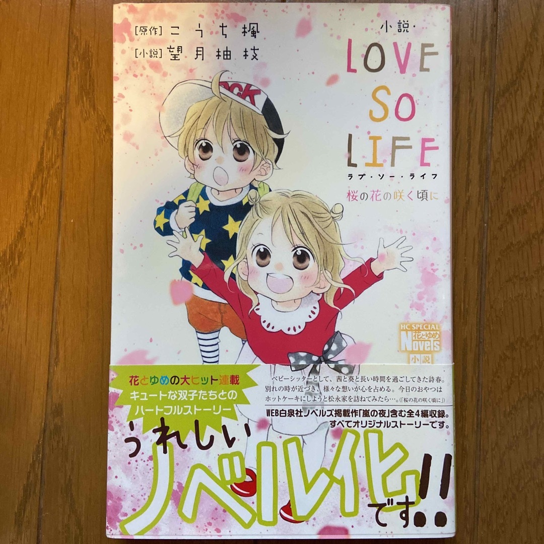 ＬＯＶＥ ＳＯ ＬＩＦＥ ２ - 漫画