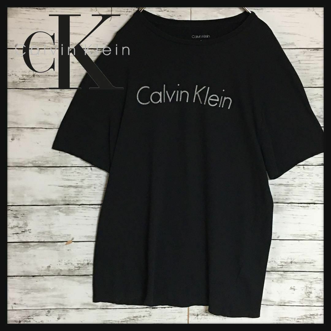 Calvin Klein(カルバンクライン)の【美品人気デザイン】カルバンクライン　半袖プリントTシャツ　Mサイズ　F530 レディースのトップス(Tシャツ(半袖/袖なし))の商品写真