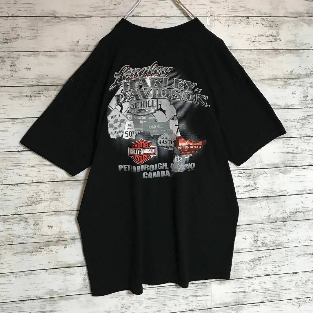 Harley Davidson(ハーレーダビッドソン)の【希少デザイン】ハーレーダビッドソン　ビッグプリントTシャツ　人気黒　F509 メンズのトップス(Tシャツ/カットソー(半袖/袖なし))の商品写真