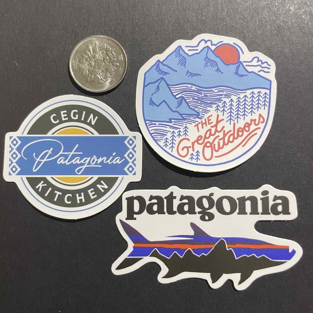 パタゴニア patagonia 防水ステッカー リール -