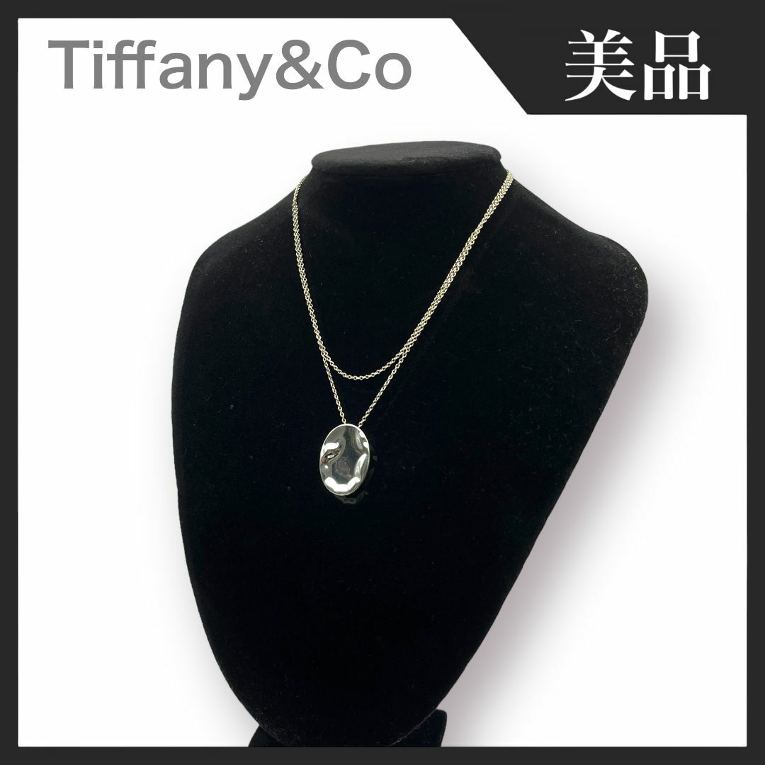 ティファニーカテゴリ【美品】Tiffany&Co さそり座 スコーピオン プレート ペンダント