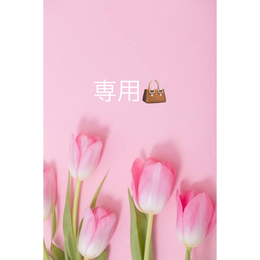 バッグ makikomann様 専用 正規取扱店 upric.uprrp.edu