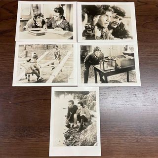 映画　まごころを君に　宣伝用スチール写真5枚(洋画)