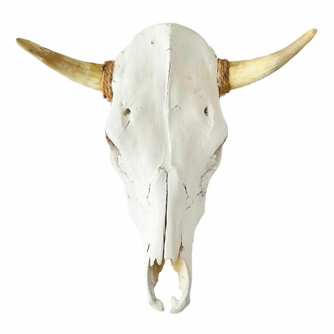 バッファロースカル 牛頭骨 ショートホーン カウスカル ナバホ 壁掛け オブジェ