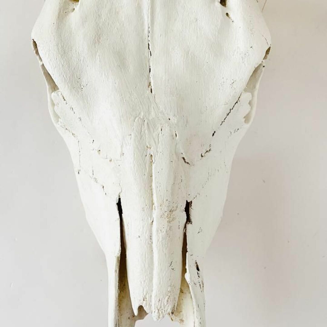 バッファロースカル 牛頭骨 ショートホーン カウスカル ナバホ 壁掛け オブジェ