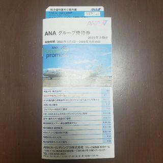 エーエヌエー(ゼンニッポンクウユ)(ANA(全日本空輸))のANA(全日空)　株主優待(その他)