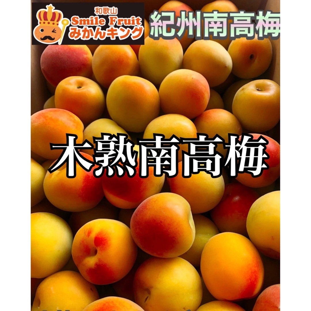 木でしっかり完熟‼️和歌山県産 色付き紅南高梅 3Lサイズ 2kg