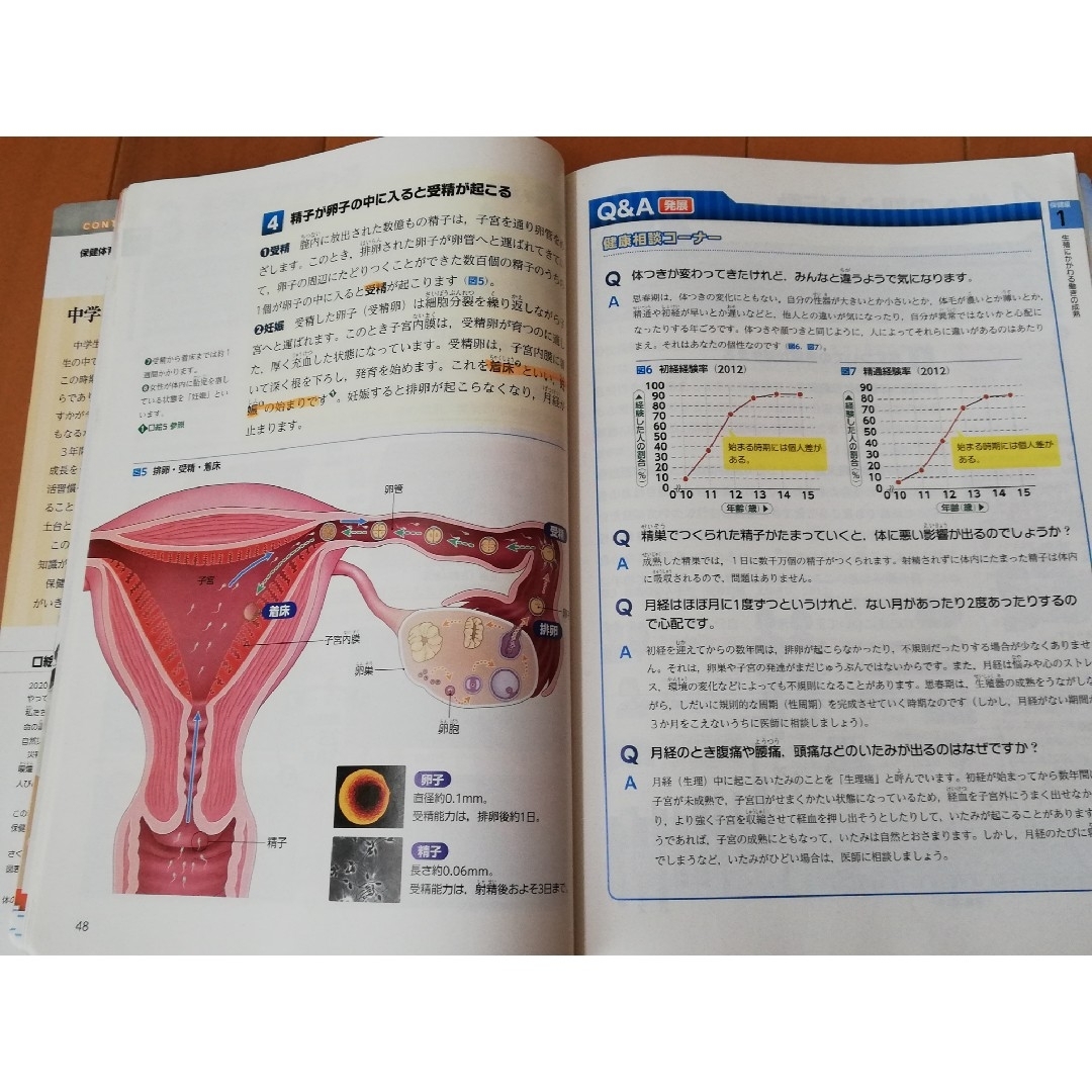 中学　保健体育　テキスト　大修館書店 エンタメ/ホビーの本(語学/参考書)の商品写真