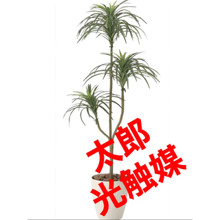 光触媒　人工観葉植物　ウォールグリーン　フェイクグリーン  ユッカ1.3m