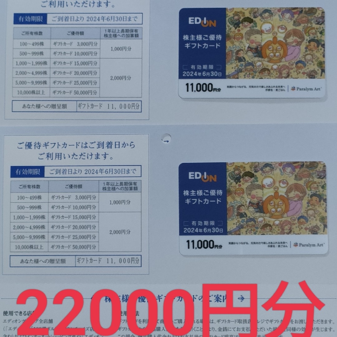エディオン 株主優待券 22000円分