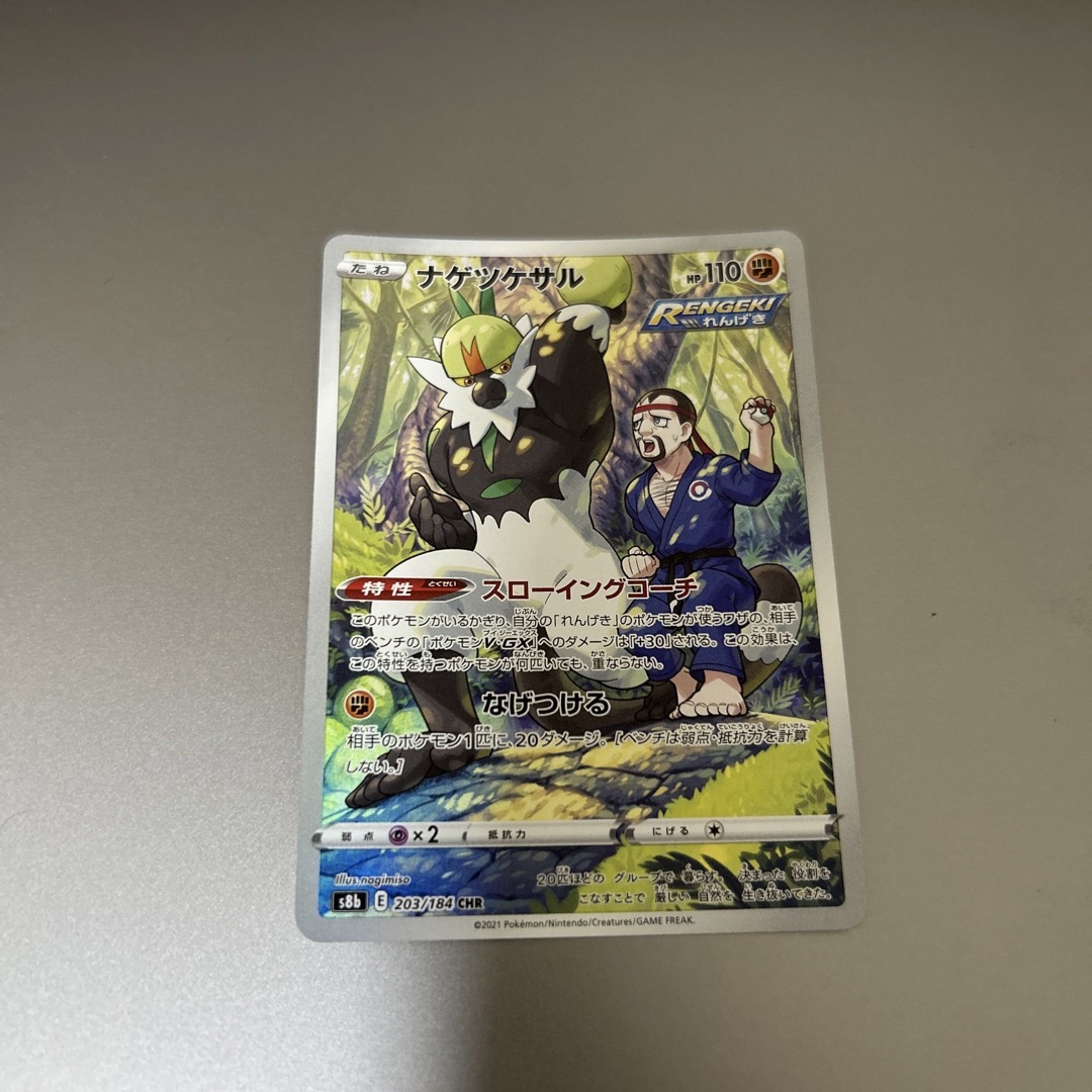 PSA10 ナゲツケサル CHR