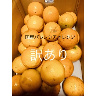 訳ありL 5kg 国産バレンシアオレンジ　箱何でも良い方用　有田みかん和歌山県産(フルーツ)