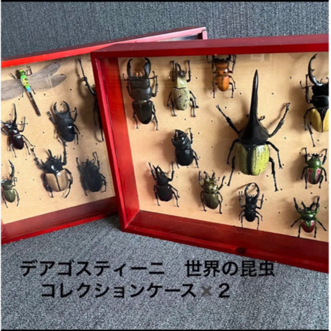 デアゴスティーニ　世界の昆虫　24体　コレクションケース付き