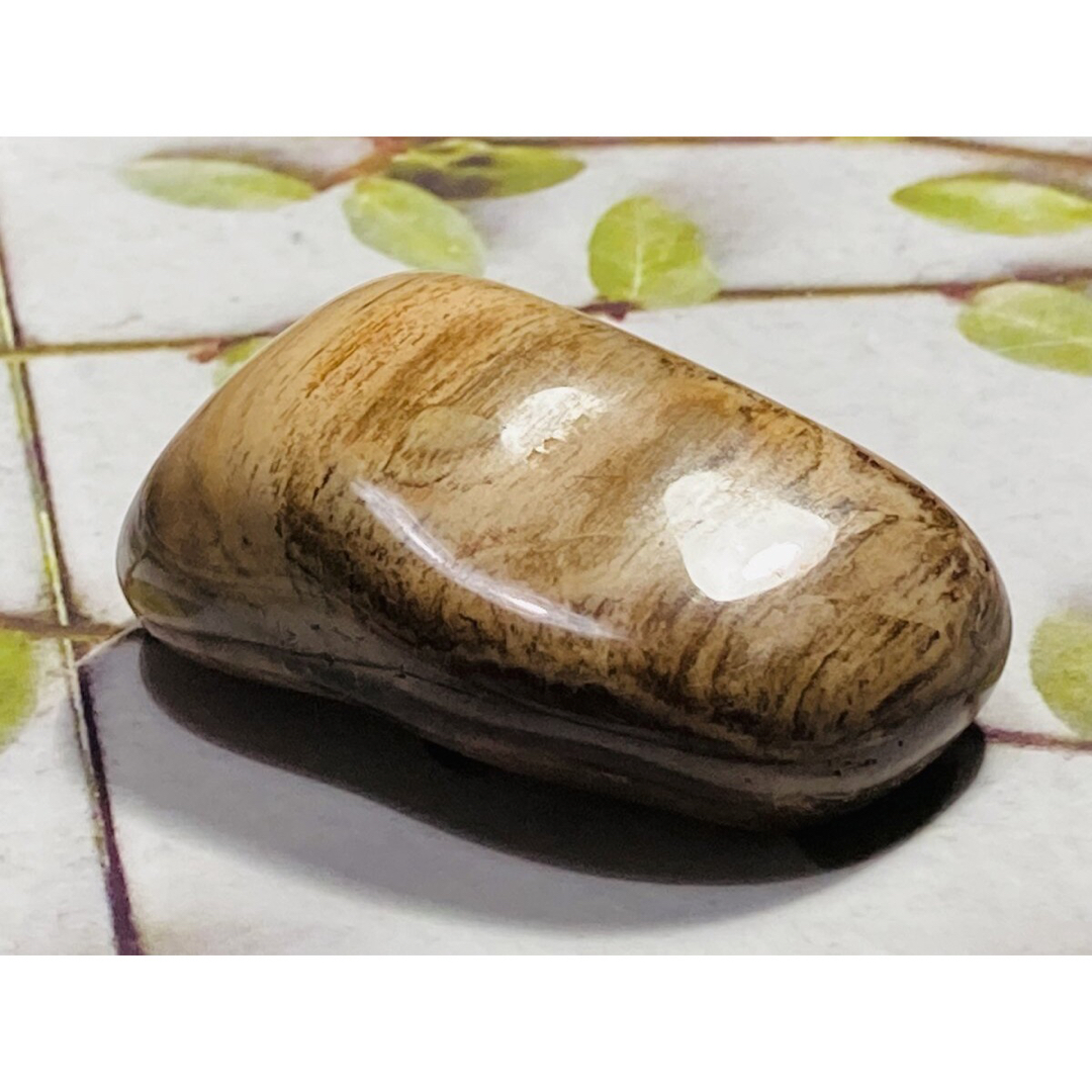 樹の化石✨　珪化木　ペトリファイドウッド　原石　タンブル