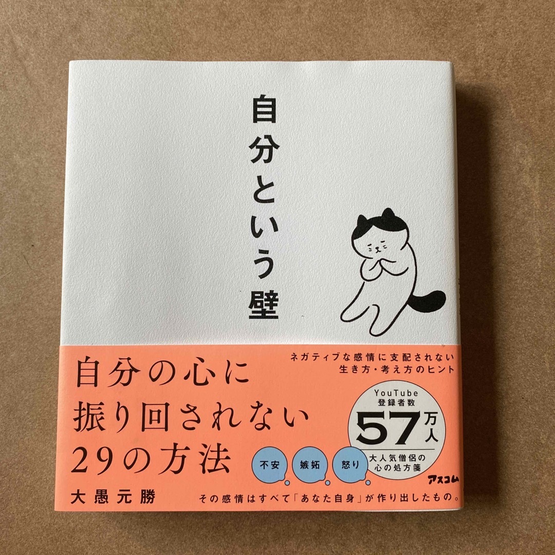 自分という壁　自分の心に振り回されない２９の方法 エンタメ/ホビーの本(文学/小説)の商品写真