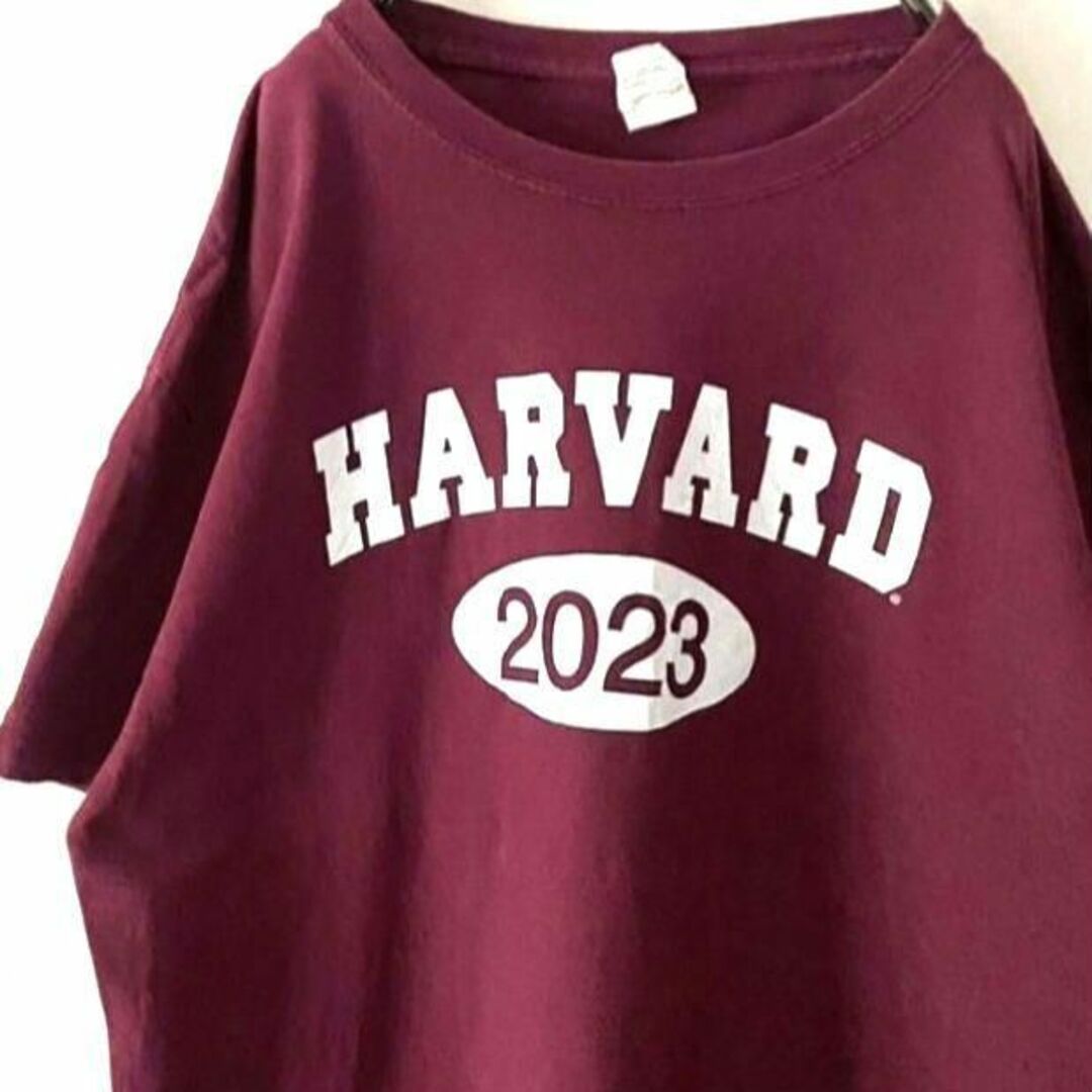 HARVARD THE COOP Tシャツ L えんじワインレッド赤 古着の通販 by aki's shop｜ラクマ