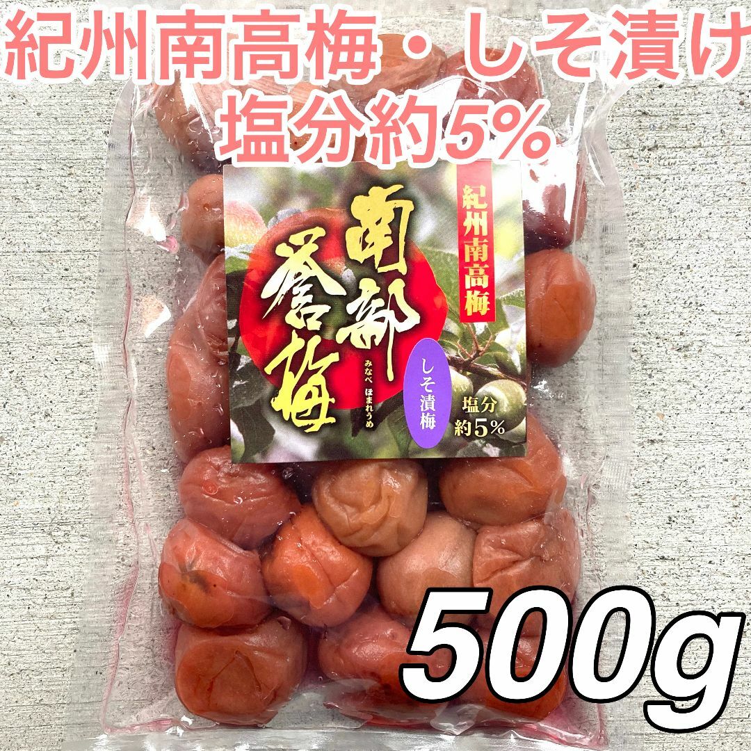 〇宮崎県産　もみしそ500ｇ※ごぼう茶サンプル付