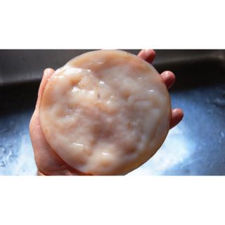 紅茶キノコ　オーガニック　種菌　SCOBY　株分け(その他)