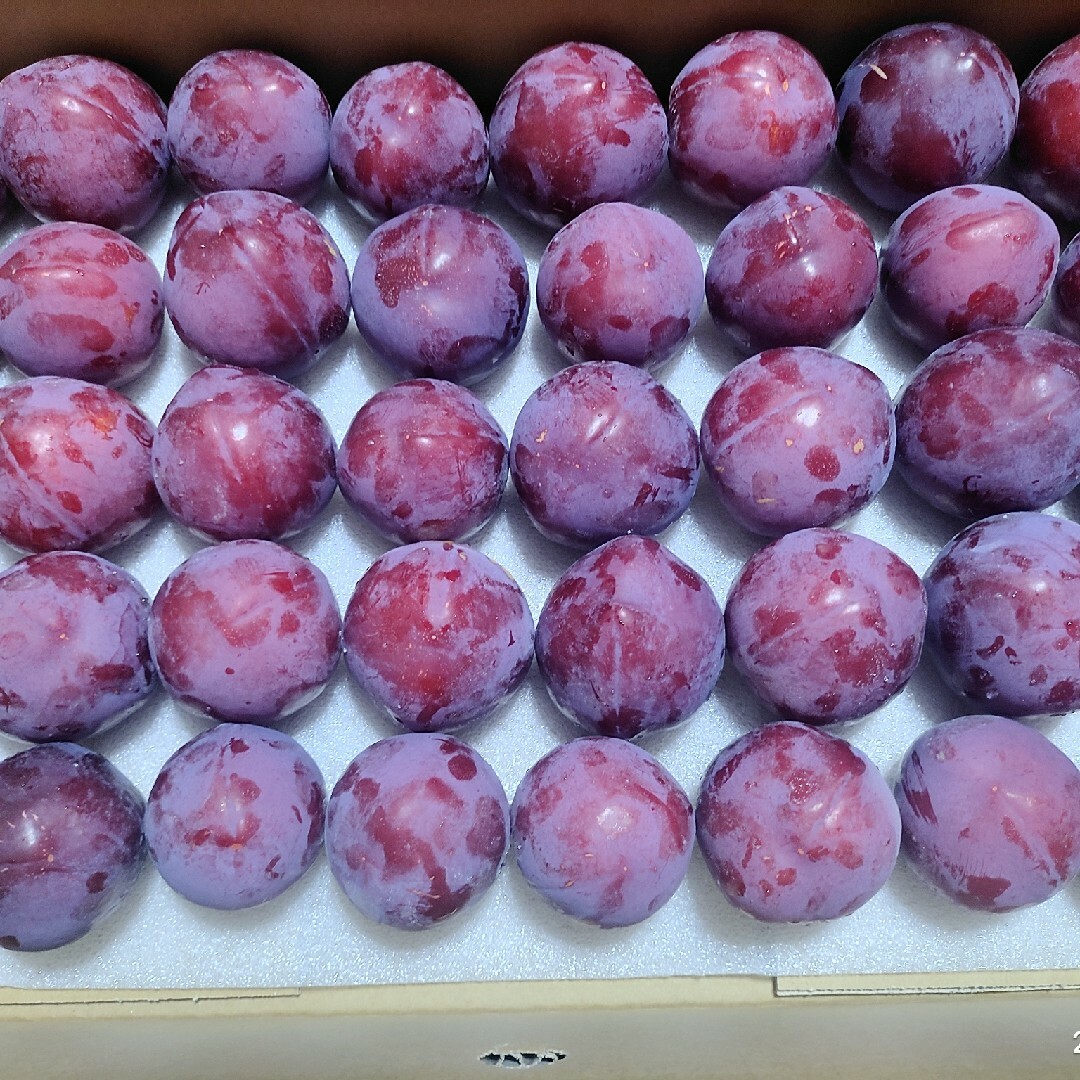 山梨県産 レッドビュート 4kg 食品/飲料/酒の食品(フルーツ)の商品写真