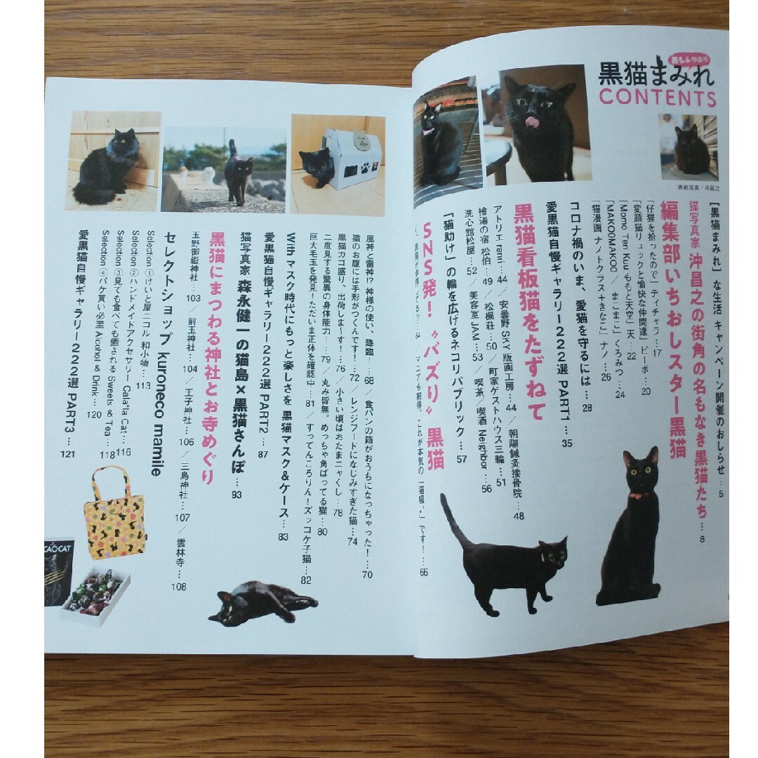 黒猫まみれ　黒もふ特盛号 オンリーワン黒猫マガジン エンタメ/ホビーの本(住まい/暮らし/子育て)の商品写真