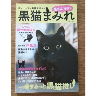 黒猫まみれ　黒もふ特盛号 オンリーワン黒猫マガジン(住まい/暮らし/子育て)