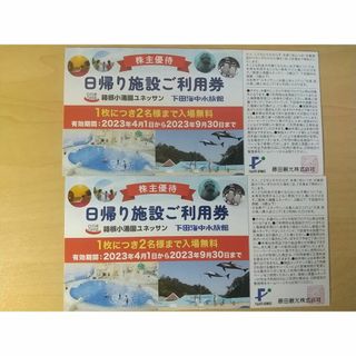 箱根小涌園ユネッサン入場無料券 藤田観光株主優待券　２枚(その他)