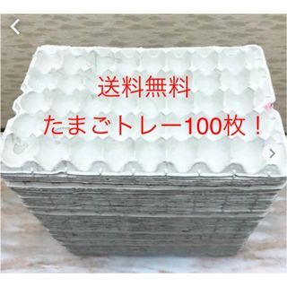 使い方いろいろ！たまご紙トレー100枚！送料無料！(爬虫類/両生類用品)