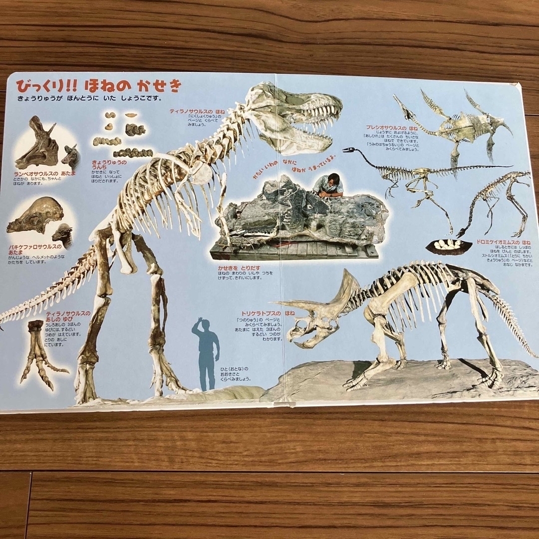 再入荷】 はっけんずかん きょうりゅう 他 6冊セット 絵本 再入荷】 はっけんずかん きょうりゅう 他 6冊セット 絵本