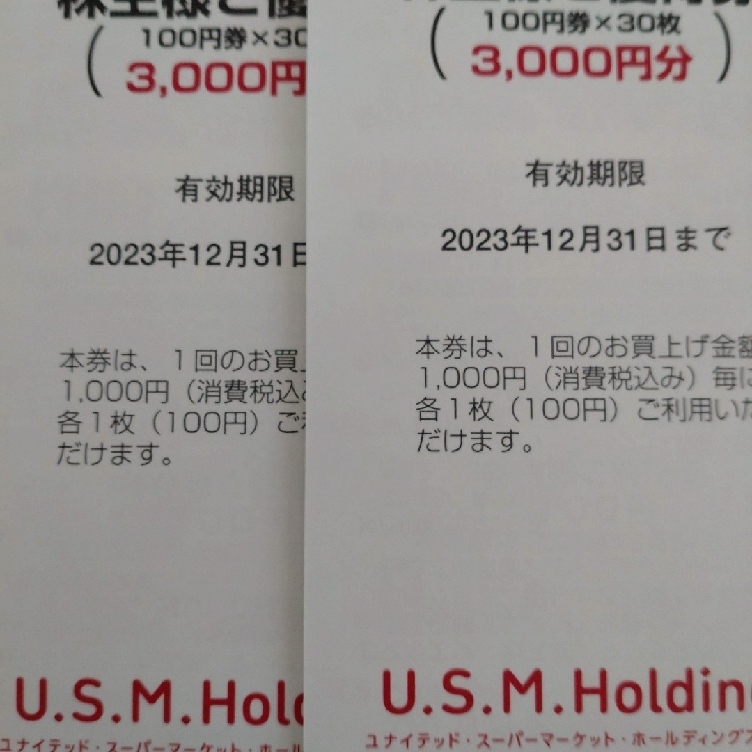 ユナイテッドスーパーマーケットホールディングス　株主優待券6000円分