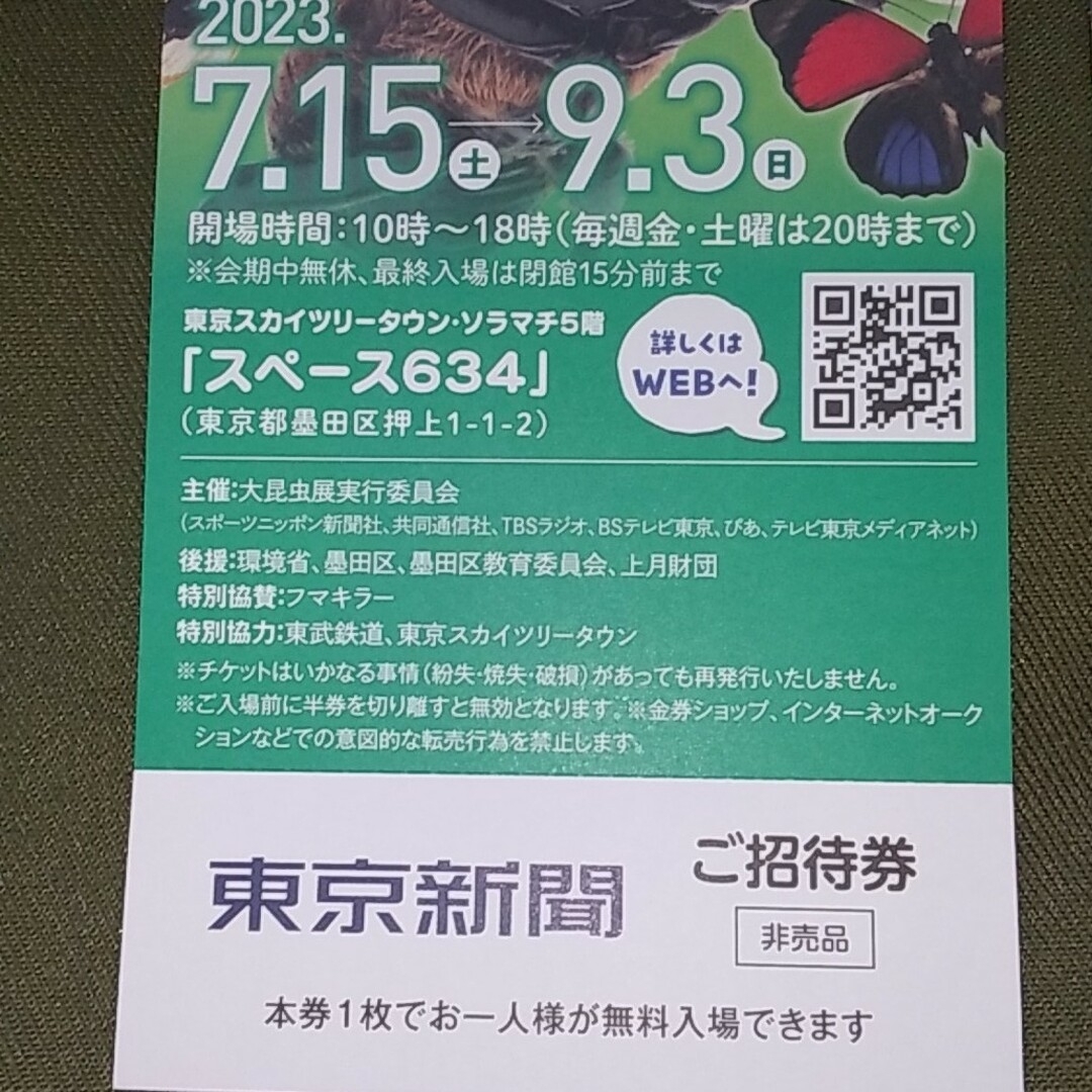 割引 大昆虫展　in　東京スカイツリータウン