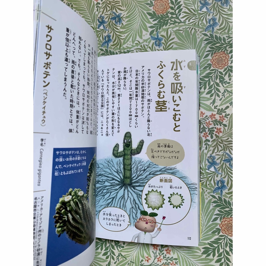 おもしろ図鑑🌿植物達の生き残り大作戦 エンタメ/ホビーの本(絵本/児童書)の商品写真