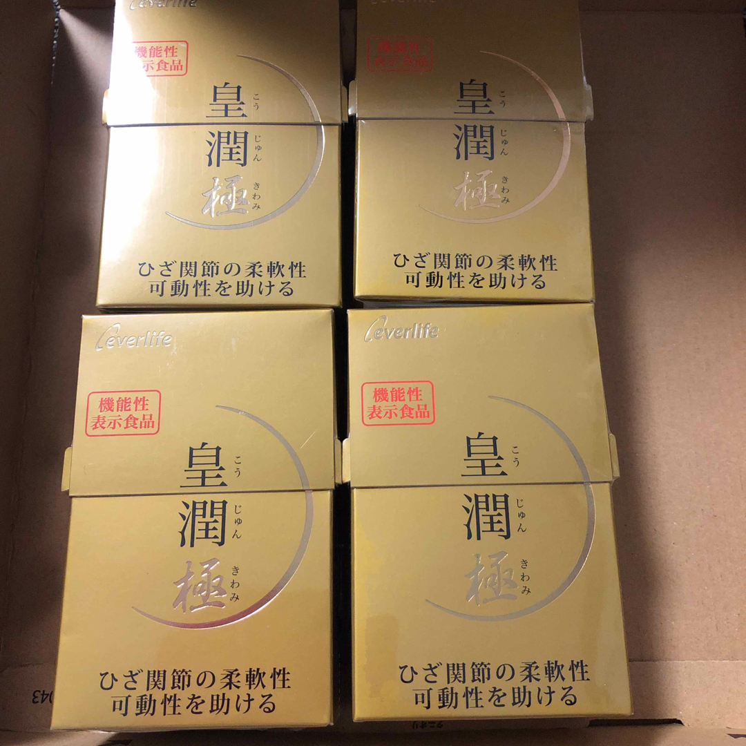 皇潤極 100粒×4箱 新品未開封 エバーライフ-