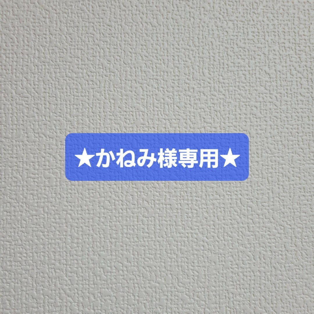 ★かねみ様専用★ その他のその他(その他)の商品写真