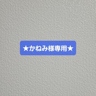 ★かねみ様専用★(その他)