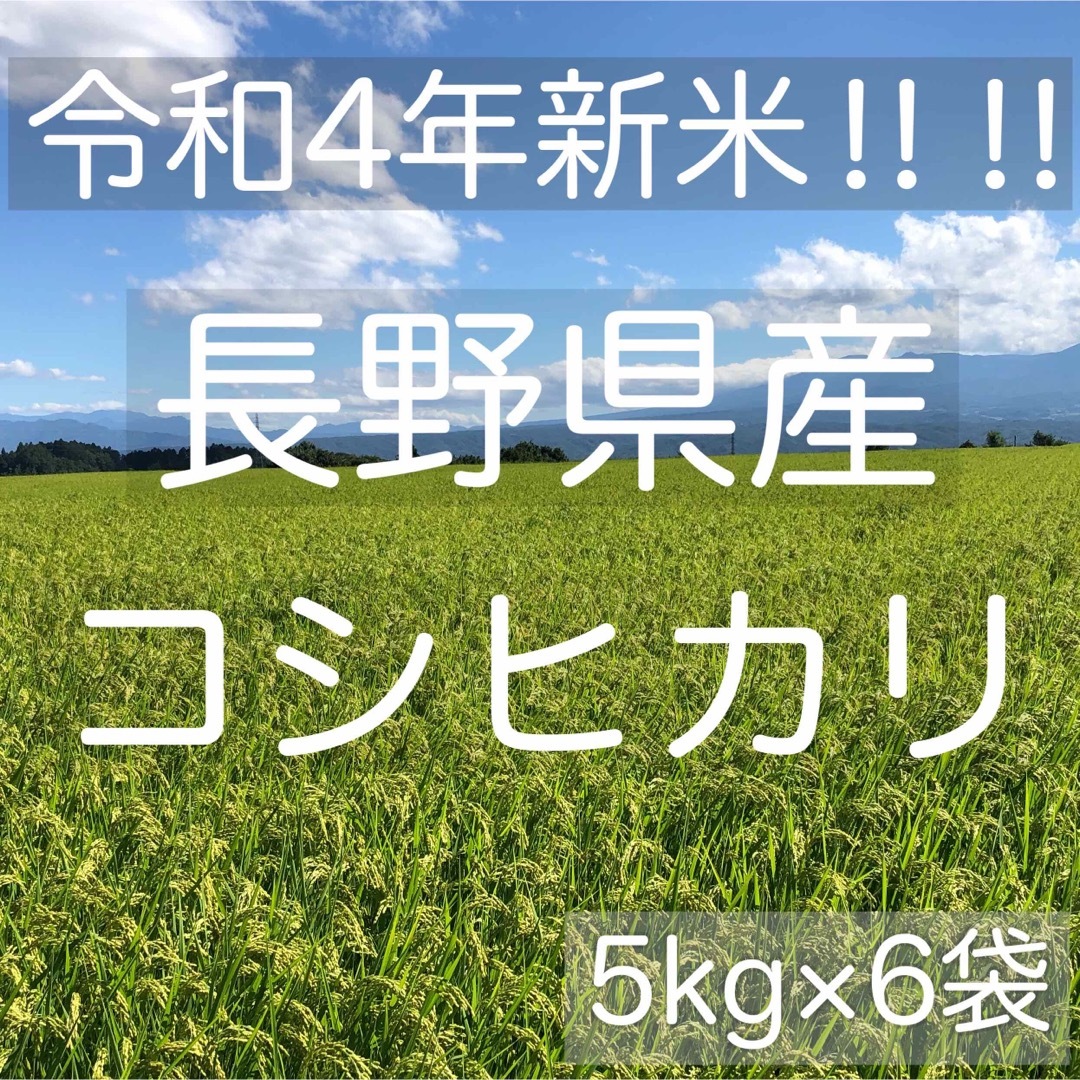 米/穀物　【令和4年産】長野県コシヒカリ30キロ白米　現品限り一斉値下げ！　PRIMAVARA