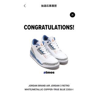 ジョーダン(Jordan Brand（NIKE）)のAir Jordan 3 Retro "True Blue and Copper(スニーカー)