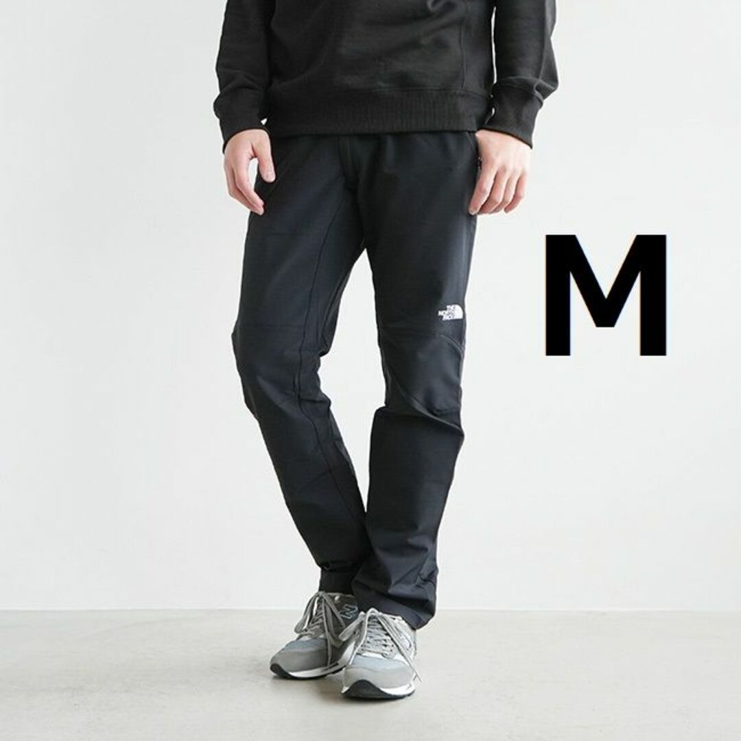 THE NORTH FACE - 新品 アルパインライトパンツ ノースフェイス ...